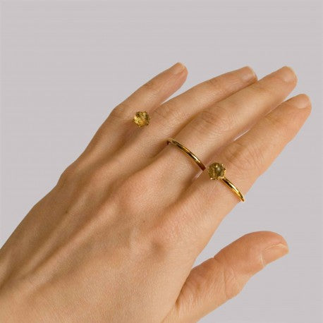Ring Flowers and Geometries-Three Fingers